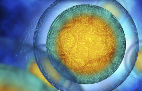 Human bacterial cells bl