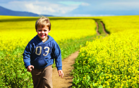 Boy in Canola Field